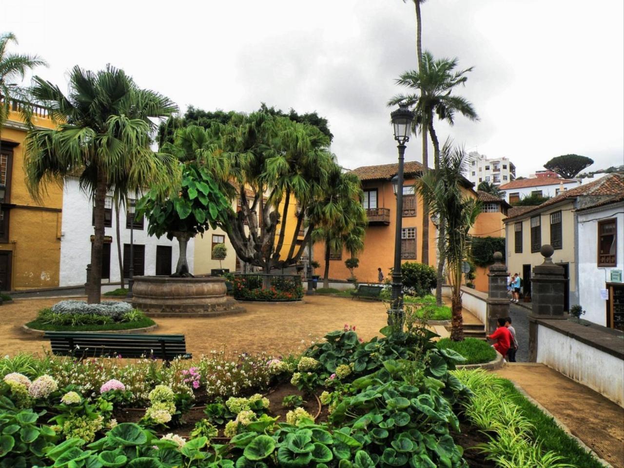 Cozy House Casa Vero Mai Icod De Los Vinos Εξωτερικό φωτογραφία
